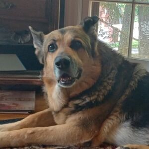 Meet your Posher, Jessy